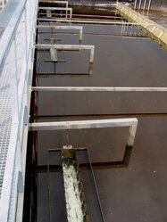 WWTP 18 000 PE slaughterhouse intensification